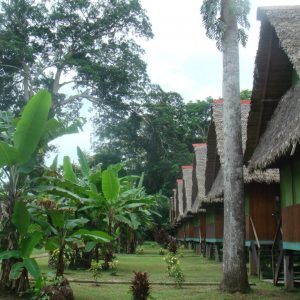 Macaw's Clay Lick & Sandoval Lake