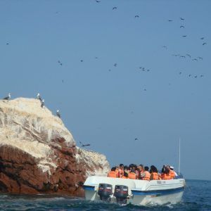 Ballestas Island Classic Tour