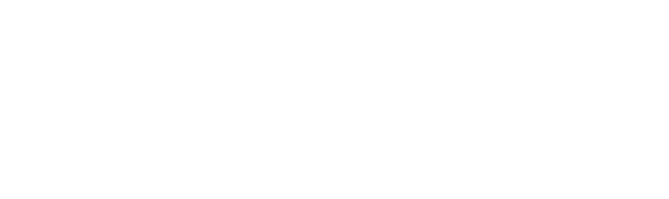PayPal Logo