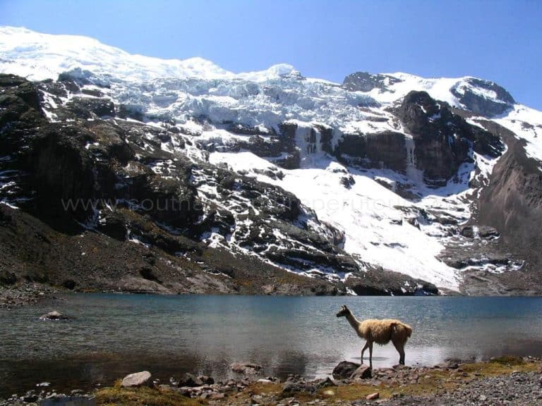 trek-to-salkantay-0022