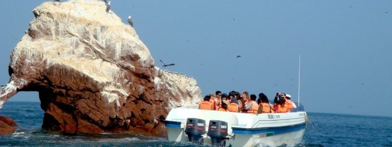 Ballestas Island Classic Tour