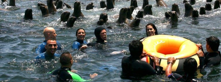 Ballestas Island Classic Tour