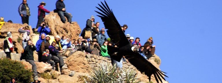 Colca Canyon Tour 2 Days 1 Night