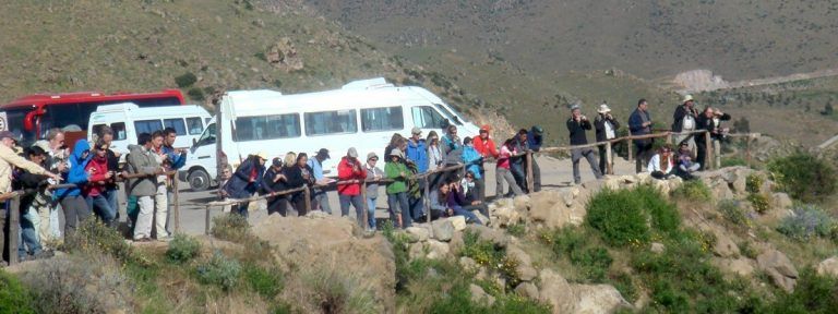 Colca Canyon Tour 2 Days 1 Night