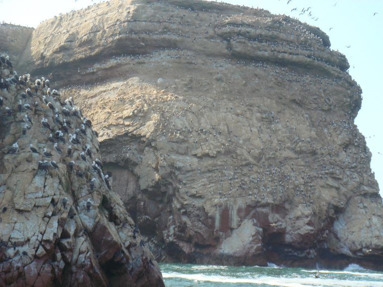Lima Ballestas Island Paracas Reserve Nazca Lines Cusco