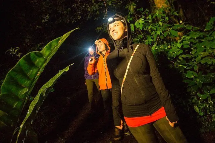 Lodge Camp Odyssey 5 Days 4 Night