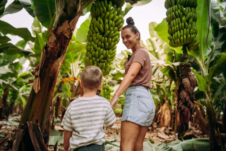 Maniti Eco Lodge Expedition 6 Day 5 Night