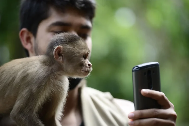 Maniti Eco Lodge Express 2 Day 1 Night