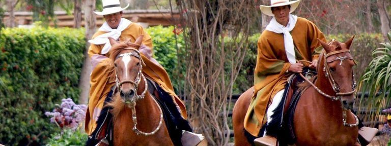 Peruvian Paso Horse Show Dinner