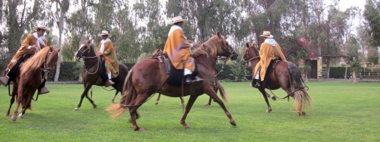Peruvian Paso Horse Show Dinner