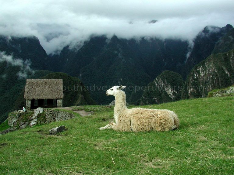 Short Trip To Machu Picchu By Car