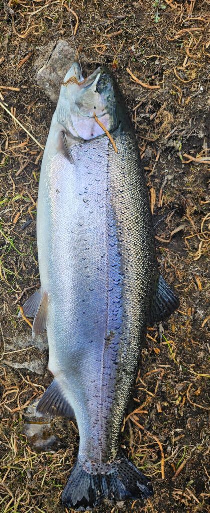 Fishing Tour Cusco Peru