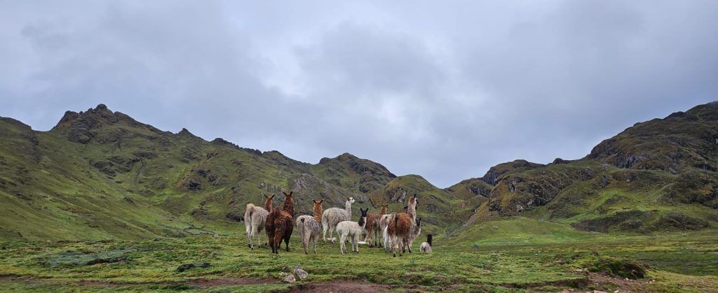 Fishing Tour Cusco Peru