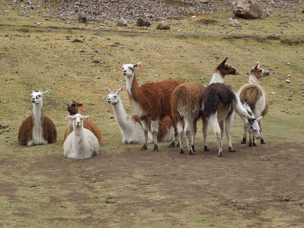 Lares Valley Hot Springs Escape
