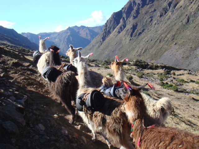 Trek To Lares Cusco