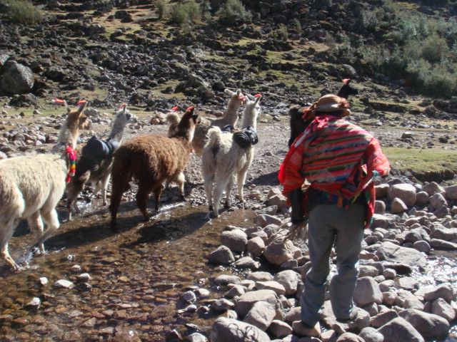 Trek To Lares Cusco 024