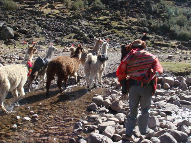 Trek To Lares Cusco 024