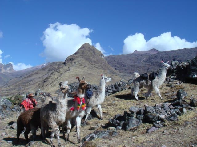 Trek To Lares Cusco
