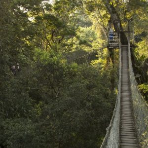 Amazon Field Station By InkaTerra – Tambopata 5 days / 4 nights