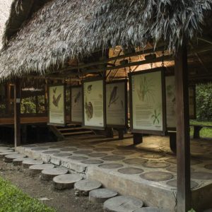 Amazon Field Station By InkaTerra – Tambopata 3 days / 2 nights