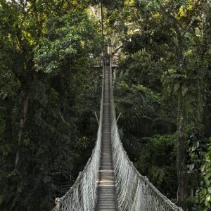 Inka Terra Hacienda Concepción Tambopata 3 days / 2 nights