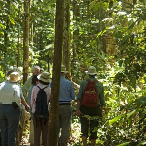 InkaTerra Reserva Amazonica Tambopata 5 days / 4 nights